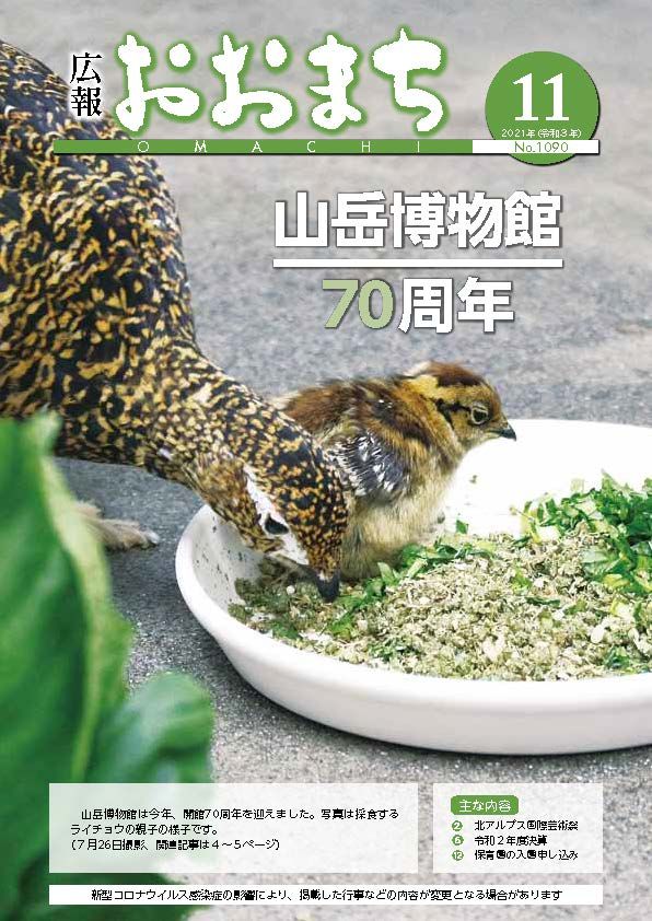 11月号