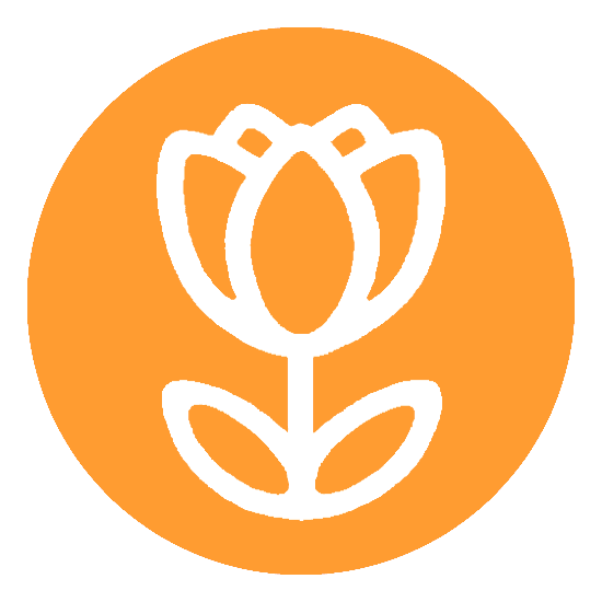 9_hana_12c8db9ae4.png