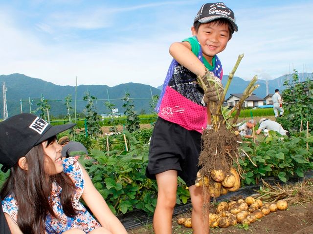 野菜づくり教室が馬鈴薯祭