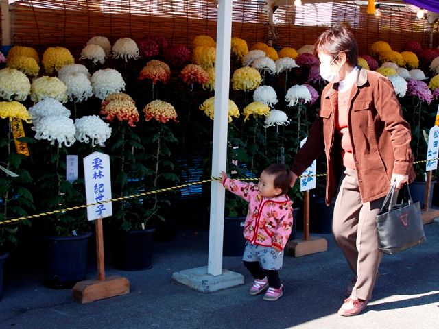 芸術文化の秋　市内各地で文化祭を開催