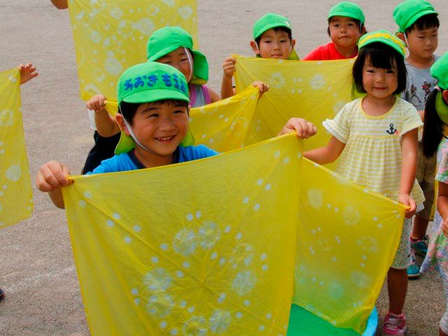 しらかば保育園児が地域の人たちと育てた花で草木染