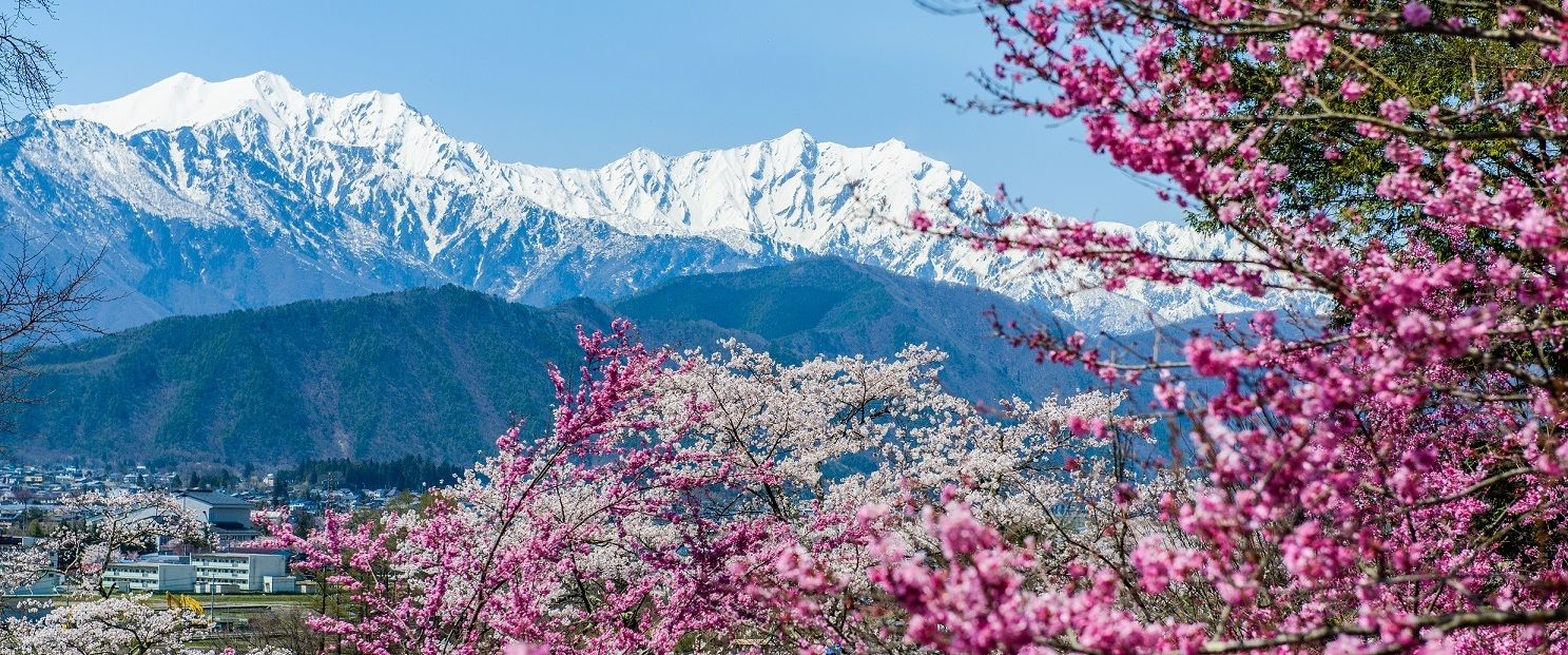 メインビジュアル