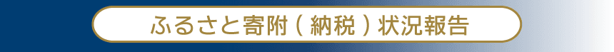 ふるさと納税状況報告